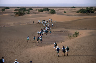 Sahara Trek Sun 16 Feb - Sun 23 Feb 2020