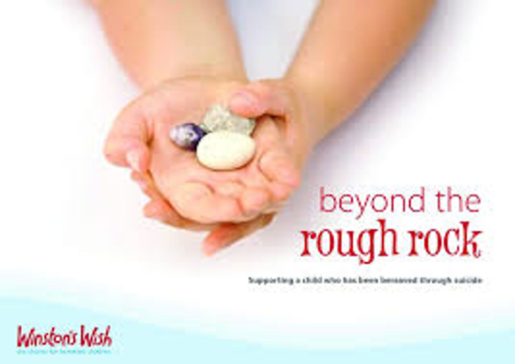 Beyond the Rough Rock Booklet